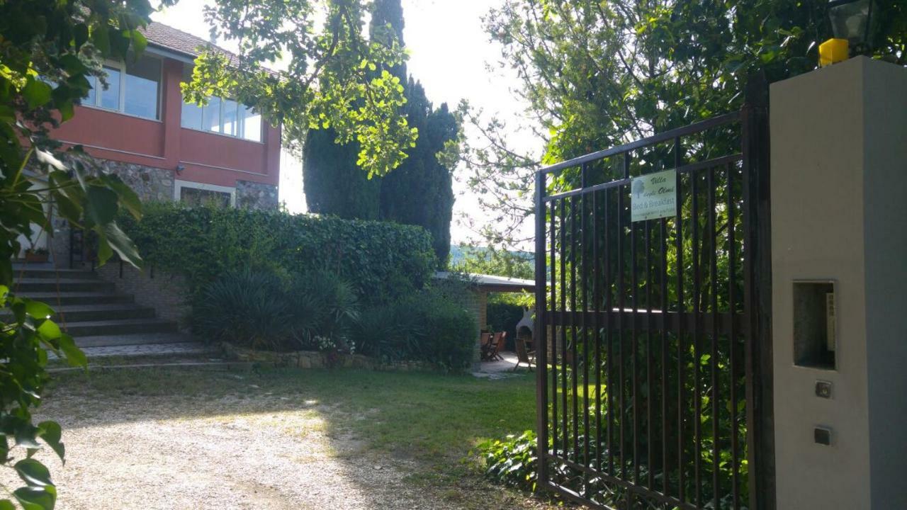 Villa Degli Olmi Allumiere Екстер'єр фото